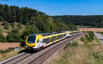 1427 017 und 1429 043 als MEX 19133 (Stuttgart Hbf - Ulm Hbf) bei Urspring 18.8.25