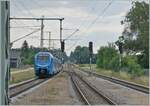 Von Memmingen kommend erreicht der Go Ahead (Bayern) ET 4 21 (BR 428) Hergatz. Der Zug ist auf der Fahrt nach Lindau Insel. Schön zu sehen die relativ schlichte Gleisgeometrie bei der Abzweigung von der Allgäu-Bahn zur Strecke nach Memmingen, wobei letztere nun für die EX Züge nach München elektrifiziert wurde. 

19. Juni 2023