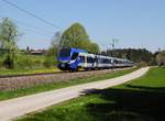 Der ET 319 als M nach München am 07.05.2016 unterwegs bei Fellach.