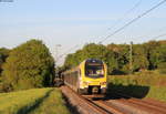 1430 047 und 1428 023 als RE 19028 (Stuttgart Hbf-Karlsruhe Hbf) bei Sersheim 7.5.20