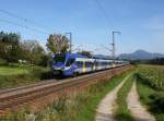Der ET 321 als M nach München am 19.09.2014 unterwegs bei Straß.
