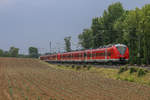 1440 223 und 1440 221, die Zukunft der RE8 (Mönchengladbach - Koblenz), machen aktuell Schulungsfahrten und konnten von mir heute den 18.05.2019 bei Geilenkirchen fotografiert werden.