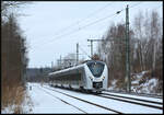 Grau-weißer Zug in weiß-grauer Landschaft: Die grau-weißen 'Grinsekatzen' der Mitteldeutschen Regiobahn (Transdev) schleichen fast unbemerkt durch die weiß-graue Winterlandschaft,