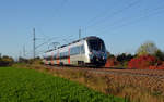 1442 174 war am 22.10.17 dieser Hamster der S-Bahn Mitteldeutschland unterwegs von Bitterfeld nach Falkenberg(E).