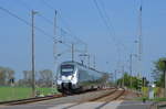 Talent2 1442 607 S-Bahn Mitteldeutschen S4 Eilenburg - Wurzen in Jessewitz bei Leipzig 22.04.2018