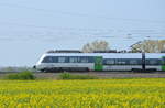 Talent2 1442 703-3 S-Bahn Mitteldeutschen S4 Eilenburg - Wurzen in Jessewitz bei Leipzig 22.04.2018