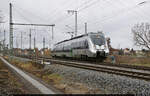1442 701 (Bombardier Talent 2) schlängelt sich, von Halle-Nietleben kommend, auf das linke Gleis der Strecke 6343 ein.