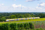 Desiro HC 1462 fährt oberhalb der Rheinebene in den Rebbergen zwischen Rheinweiler und Bad Bellingen Basel entgegen.