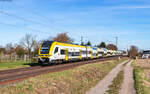 1462 004 und 1462 003 als RE 5335 (Offenburg - Efringen-Kirchen) bei Tunsel 4.11.25