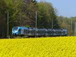 EuroBahn ET 4.02 als RB61 nach Hengelo in Rheine=Bentlage, 26.04.2025