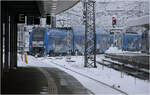 Winter in München - 

Auf dem Weg zu einem Abstellgleis verlässt Desiro HC 2462 112-0 der Arverio den Bahnsteigbereich des Hauptbahnhofes.

20.02.2026 (M)