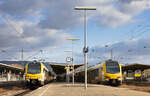 Begegnung zweier MEX90 von/nach Nürnberg am 30.01.2022 in Stuttgart-Bad Cannstatt. Beide Züge werden aus einer Doppeleinheit Flirt 3XL gebildet. 