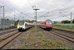 8442 306 und 8442 803 (Bombardier Talent 2) der Abellio Rail Baden-Württemberg GmbH als RB 19514 (RB17a) von Stuttgart Hbf nach Pforzheim Hbf bzw. RE 19614 (RE17b) nach Heidelberg Hbf und DABpbzfa mit Schublok 111 174-9 von DB Regio Baden-Württemberg als verspäteter RE 1???? von Würzburg Hbf nach Stuttgart Hbf begegnen sich bei der Durchfahrt des Bahnhofs Stuttgart-Zuffenhausen.
Aufgenommen am Ende des Bahnsteigs 4/5.
[26.9.2019 | 12:59 Uhr]