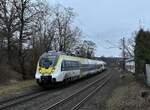 Durch Binau gen Eberbach fahrend ist hier der 8442 624 zusehen der im Doppel mit 8442 110 als RE 10a nach Mannheim Hbf unterwegs sind. 11.1.2022