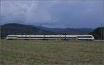 Elztalbahn.

Im freien Feld bei Buchholz zieht 8 442 207 Richtung Elzach vorüber, während sich hinten der Himmel zusehends verfinstert. September 2022.