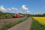 Die bekannte Hamsterbacke 442 als RE von Halle nach Saalfeld, konnte am 19.05.2023 mit dem blühenden Rapsfeld am Saaleradweg bei Schöps aufgenommen werden.