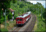 Ikone des Stuttgarter Vorortverkehrs - ET 65 005: Nach rund 11 Jahren Stillstand kehrte am 14. Juni 2026 ein echter Veteran schw�bischer Eisenbahn – der Elektrotriebwagen 465 005-7, genannt der „Rote Heuler“ – in Stuttgart auf die Gleise zur�ck. Der historische ET 65 nahm nach abgeschlossener Revision den Betrieb in der baden-w�rttembergischen Landeshauptstadt wieder auf und verkehrte insgesamt sieben Mal vom Hauptbahnhof �ber die Panoramabahn nach Stuttgart-Vaihingen und zur�ck. Hier passiert der ET den ehemaligen Hp Stg.-Heslach.
