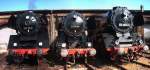 5 Eisenbahnfest Berlin -Sch�neweide 03.10.2008.- 03 1010 /52 6666 / 03 2204-0