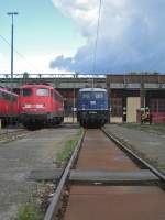 2 alte Damen im BW Stuttgart: Einmal die 110 418-1, daneben 110 228-4 welche leider nicht mehr fahrt�chtig ist.
