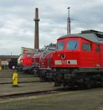 Die verschiedenen Diesel-Nasen im Vergleich.