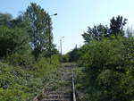 Die Reste von einem früheren Verbindungsgleis, am 07.09.2020 in Erfurt Nord.