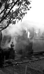 OEG 1981__Museumsfahrzeuge in Viernheim. Dampfzug-Betrieb am 1. Mai.__01-05-1981