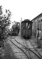 OEG 1981__Museumsfahrzeuge in Viernheim. Dampfzug-Betrieb am 1. Mai.__01-05-1981