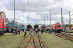 Zahlreiche Besucher kamen am 30.08.2025 zum Tag der offenen Tür ims DB Werk Erfurt. Es wurde der 100. Geburtstag des Bw Erfurt gefeiert. U.a. gab es eine abwechslungsreiche Fahrzeugausstellung.