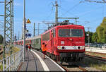 Die Fahrplanunterlagen sind da – nun steht einer p�nktlichen Abfahrt des Sonderzugs nichts im Wege.
Momentaufnahme an 155 273-6 (250 273-0) w�hrend der Hanse Sail im Bahnhof Warnem�nde auf Gleis 4.

🧰 Traditionsgemeinschaft Bw Halle P e.V. | Lausitzer Dampflok Club e.V. (LDC)
🚝 DZ xxxxx Warnem�nde–Leipzig Hbf / –Cottbus Hbf
🕓 9.8.2025 | 16:50 Uhr