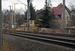 Am 05.02.22 überquerten in Greppin 3 Rehe die Bahnstrecke Dessau - Bitterfeld.