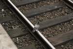 Taube sitz seelenruhig auf der Schinne in Hannover HBF, am 20.07.2011.