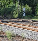 Der Streckenposten am km 200,6 ist auch fleiig gewesen am 19.08.2012 beim B Eltmannshausen/Oberhone.