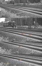 Als der Shuttle zwischen Bahnwelt und Hauptbahnhof den Bahnhof ansteuert drngeln sich pltzlich zwei Eichhrnchen ins Bild, offensichtlich auch Bahnfreunde, denn zwar scheu sind sie doch zunchst nicht so schnell unterwegs wie auf dem letzten Teilbild zu ahnen.