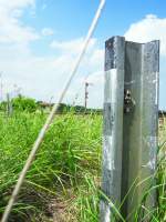 An dieser in den Boden gerammten Schiene hatte vermutlich ein Wespenvolk ihr Nest gebaut.