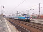 ČD 193 294  Matěj  mit dem EC 174  Robert Schumann  von Praha hl.n. nach Hamburg-Altona, am 22.02.2019 in Dresden Hbf.