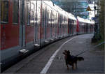 Wer da wohl aussteigt? Oder welche Türe soll ich nehmen?     Halt eines S-Bahnzuges in Rommelshausen.