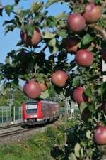 Zwischen den Lindauer Ortsteilen Bodolz und Schnau macht die Allgubahn einen groen Bogen, in dem sich teilweise Apfelbaumplantagen befinden.