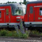 Botanischer Garten Wiesbaden...