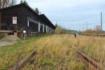 Irgendwann erobert sich die Natur ihr Terretorium zurck. In Friedland(HAN) war dies mal das Verladegleis zum im linken Hintergrund langsam verfallenen Schuppen, an dem die Heimkehrer einst im Grenzdurchgangslager ankamen. Herbst 2009.