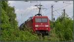 Sattes Rot umrahmt von frischen Grüntönen,der etwas andere Blick auf den herannahenden Güterzug bei Lintorf (Ratingen) im Mai 2013.Nennen wir es mal die Dackelperspektive.!
