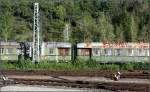 Motive am Rande einer Bahnfahrt -

Den Reiz des Verfalls zeigen die beiden Aufnahmen, die dann in Rottweil entstanden.

27.09.2014 (M)
