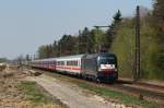 117 014 mit IC 73945 in Haspelmoor (15.04.2009)