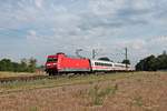 Mit dem IC 2319 (Dortmund Hbf - Karlsruhe Hbf) fuhr am Morgen des 03.06.2020 die 101 011-5 zwischen Neulußheim und Waghäusel über die Rheintalbahn in Richtung Karlsruhe.