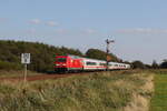 245 024 war am 15. September 2023 mit einem  IC  bei Klanxbüll in Richtung Westerland unterwegs.