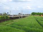 IC 2121  Fehmarn  Puttgarden - Frankfurt (M) Hbf rollt am 16.05.09 hinter Reinfeld (Holst.) an fast verblhten Rapsfeldern Richtung Hamburg Hbf vorbei. Hinten schiebt 218 321-8.