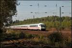 Die Fotostelle bei Bochum-Ehrenfeld wchst im Sommer teilweise erheblich zu... Im Bild legt sich IC 2116, Stuttgart Hbf - Stralsund, in die Kurve und wird gleich den Bochumer Hauptbahnhof erreichen. Schublok ist 101 107.
