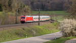 Am 28.04.2016 zieht 101 029-7 mit glänzendem Lack den IC 2265 zwischen Stuttgart und Ulm, auf der Albhochfläche bei Amstetten in Richtung München.
