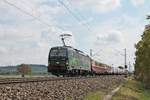 Mit dem AKE Rheingold  Lago Maggiore-Express  DPE 50 (Domodossola - Berlin) fuhr am Nachmittag des 19.05.2019 die ELL/SBBCI 193 258  SBB Cargo International , welche den Sonderzug auf dem kompletten