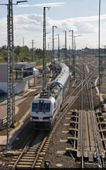 Der  Connecting Europe Express  (CEE) macht sich mit 193 360-5  I am European  (Siemens Vectron) in der Zugbildungsanlage (ZBA) Halle (Saale) zur Abfahrt bereit. Um 14:55 Uhr geht es weiter nach Berlin.
Aufgenommen im Gegenlicht von der Berliner Brücke.

🧰 DB Cargo
🕓 29.9.2021 | 14:39 Uhr