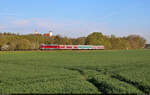 Anfang Mai führte eine Hochzeits-Charterfahrt von Aschersleben nach Sangerhausen und Thale. Wenige Kilometer nach dem Start wurde der aus 232 088-5 (132 088-6) und drei y-Wagen gebildete Zug in der Morgensonne bei Freckleben in Szene gesetzt. Im Hintergrund ist die Burg zu erkennen.

🧰 Salzland Rail Service GmbH (SRS) | Maik Ampft Eisenbahndienstleistungen (MAED)
🕓 5.5.2023 | 7:43 Uhr